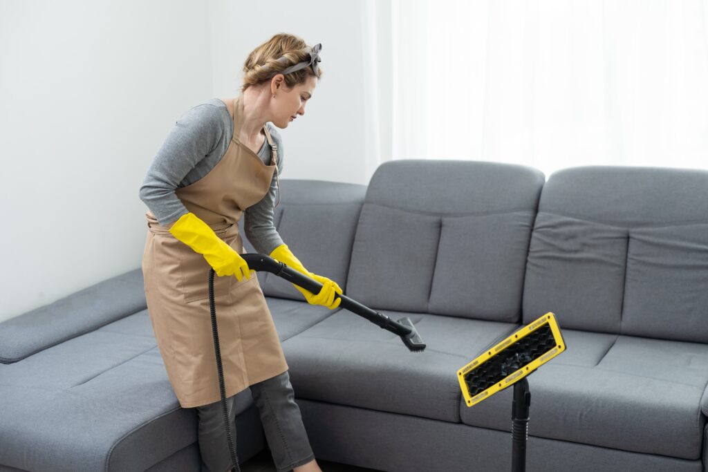 Organic couch Cleaning